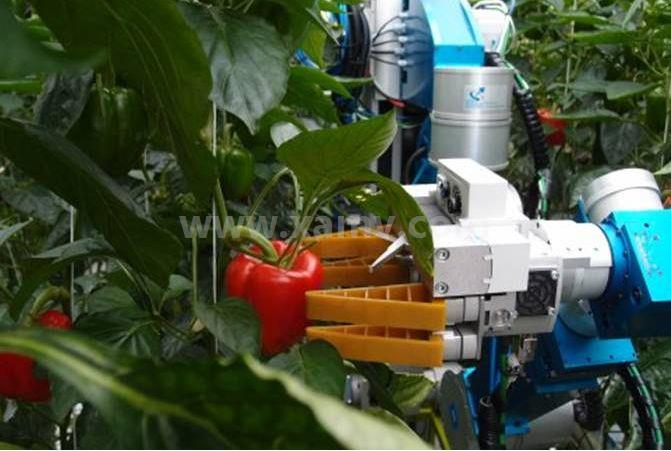 机器视觉在农业领域应用